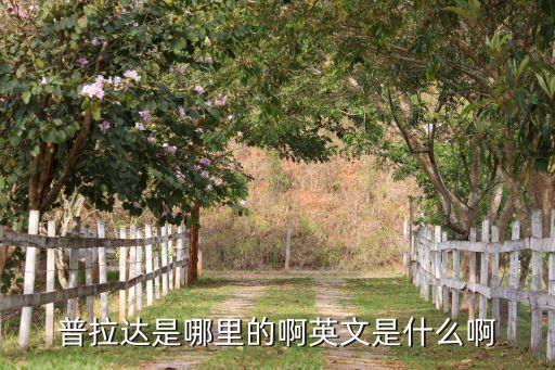 普拉达是哪里的啊英文是什么啊