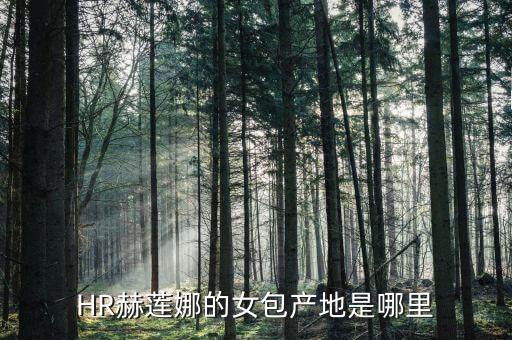hr是什么品牌,贝恩hr是什么品牌
