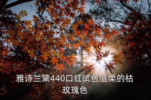 雅诗兰黛玫瑰系列怎么样