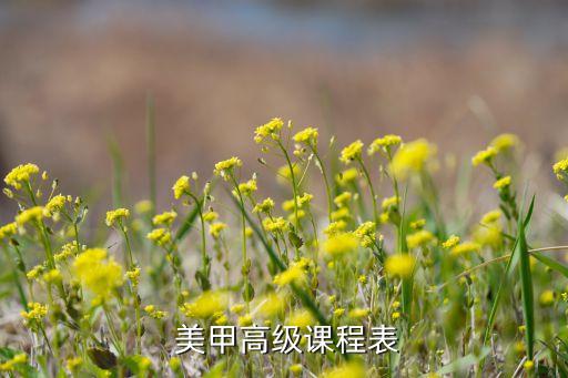 美甲速成班学费多少,石家庄美甲美睫速成班