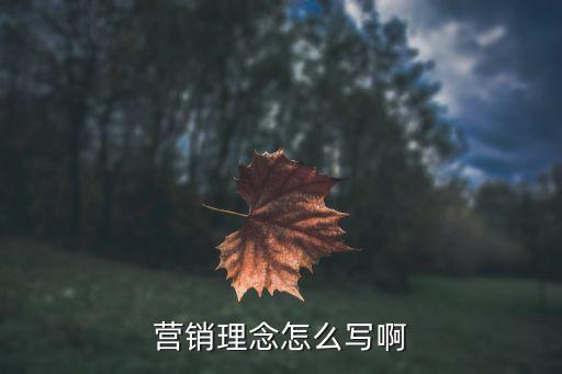 营销理念怎么写啊