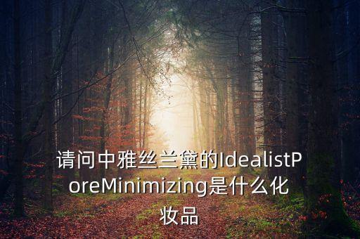 请问中雅丝兰黛的IdealistPoreMinimizing是什么化妆品