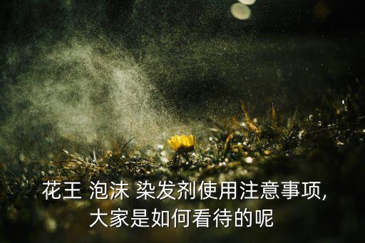 花王泡沫染发剂要染多久,花王染发剂使用方法