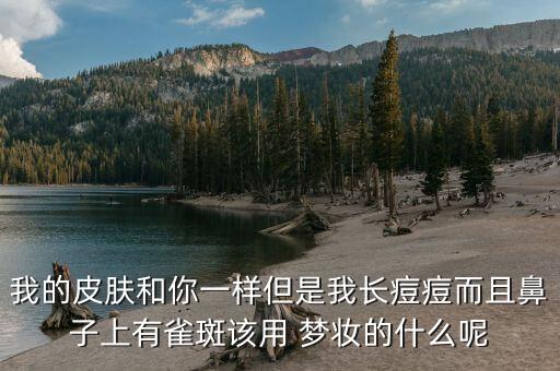 我的皮肤和你一样但是我长痘痘而且鼻子上有雀斑该用 梦妆的什么呢