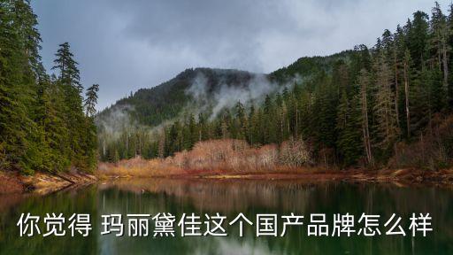 你觉得 玛丽黛佳这个国产品牌怎么样