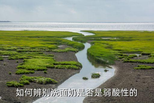 如何辨别洗面奶是否是弱酸性的