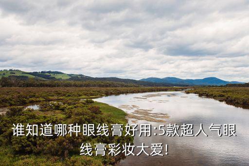 巴黎欧莱雅的眼线笔怎么样,什么牌子的眼线笔最好?