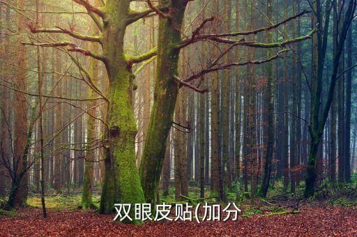 双眼皮贴(加分
