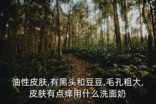 油性皮肤,有黑头和豆豆,毛孔粗大,皮肤有点痒用什么洗面奶