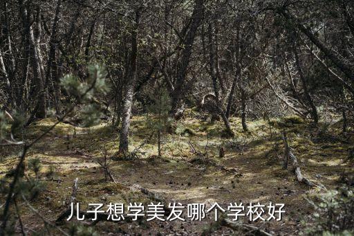 儿子想学美发哪个学校好