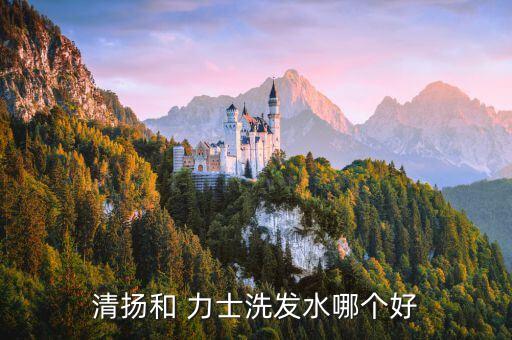 清扬和 力士洗发水哪个好