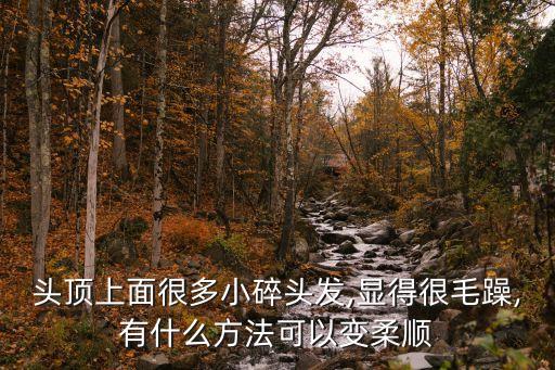 头顶上面很多小碎头发,显得很毛躁,有什么方法可以变柔顺