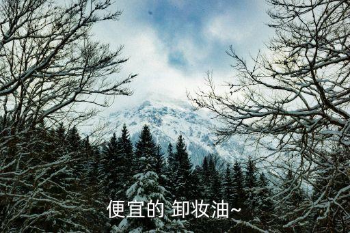 便宜的 卸妆油~