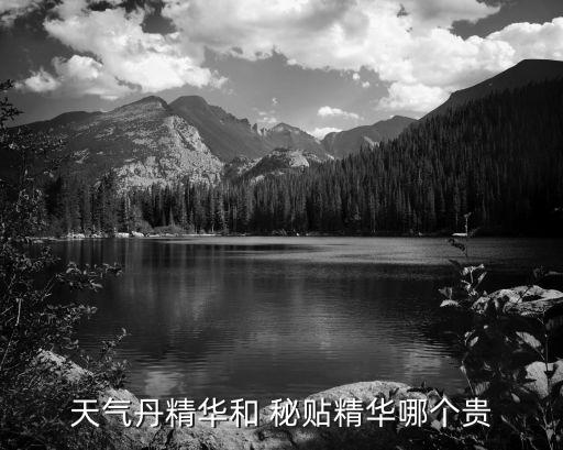 天气丹精华和 秘贴精华哪个贵