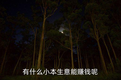 有什么小本生意能赚钱呢