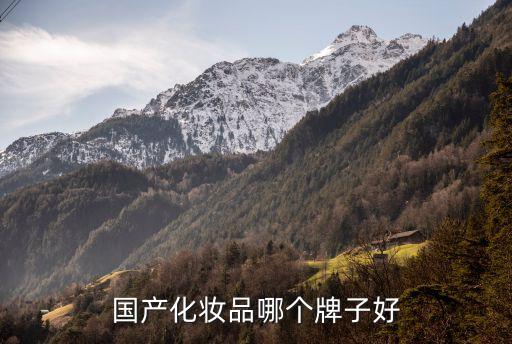 国产化妆品哪个牌子好