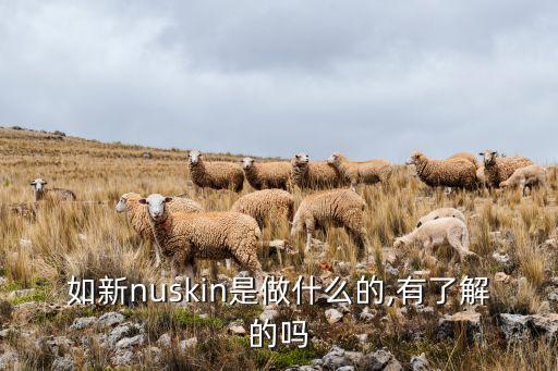 如新nuskin是做什么的,有了解的吗