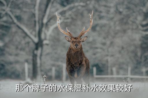 那个牌子的水保湿补水效果较好