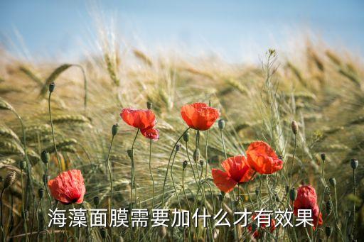 海藻面膜需要加什么才有效果