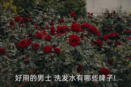 袋鼠丰盈蓬松洗发水怎么样,aussie袋鼠洗发水怎么样