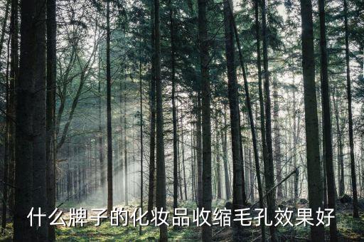什么牌子的化妆品收缩毛孔效果好