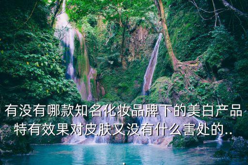 有没有哪款知名化妆品牌下的美白产品特有效果对皮肤又没有什么害处的...