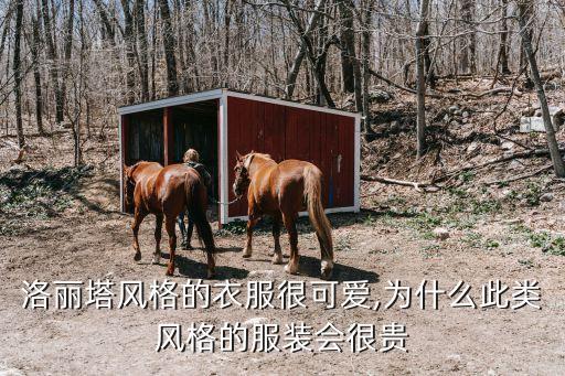 洛丽塔风格的衣服很可爱,为什么此类风格的服装会很贵