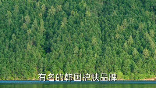 有名的韩国护肤品牌