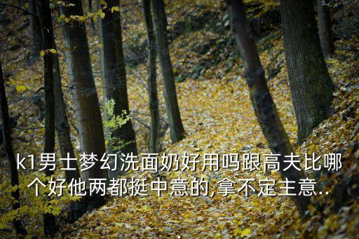 k1男士梦幻洗面奶好用吗跟高夫比哪个好他两都挺中意的,拿不定主意...