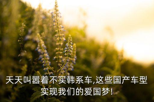 天天叫嚣着不买韩系车,这些国产车型实现我们的爱国梦!