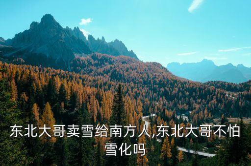 东北大哥卖雪给南方人,东北大哥不怕雪化吗