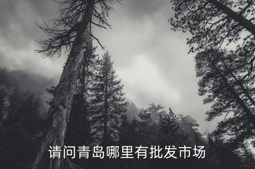 青岛哪里有卖the saem,青岛哪里可以买到美沙坦？