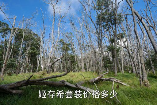 姬存希套装价格多少