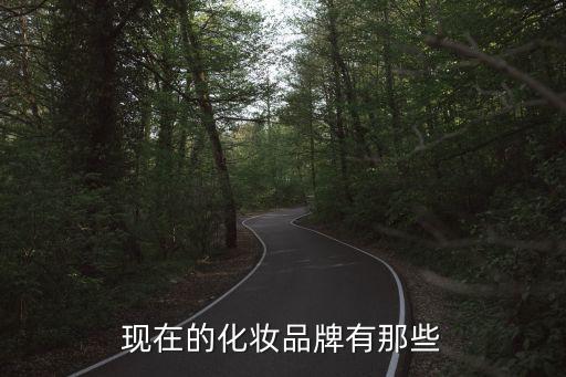 现在的化妆品牌有那些