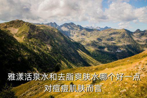  雅漾活泉水和去脂爽肤水哪个好一点对痘痘肌肤而言