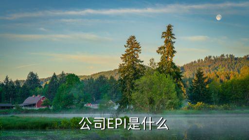 公司EPI是什么