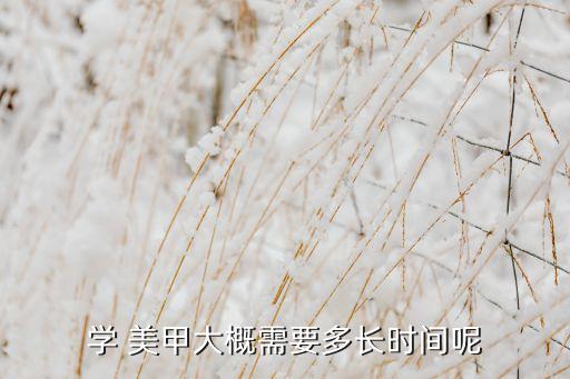 学 美甲大概需要多长时间呢