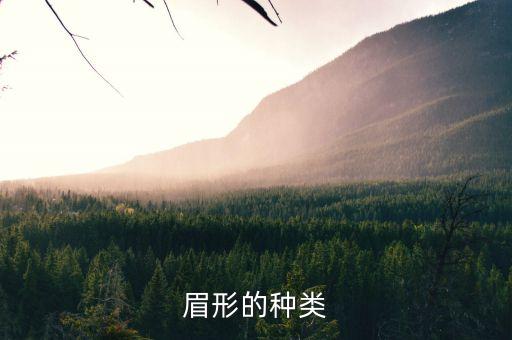 眉形的种类