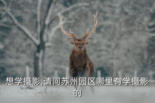想学摄影,请问苏州园区哪里有学摄影的