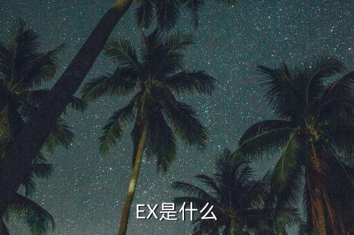 EX是什么