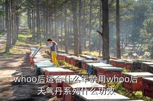 whoo后适合什么年龄用whoo后天气丹系列什么功效