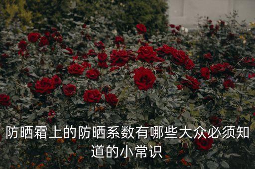 防晒霜上的防晒系数有哪些大众必须知道的小常识