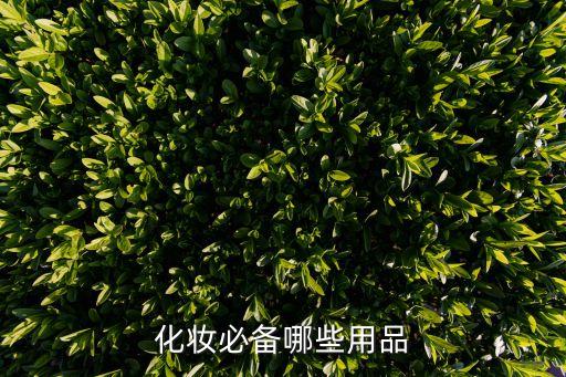 化妆必备哪些用品