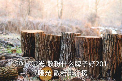 2017哑光 散粉什么牌子好2017哑光 散粉排行榜