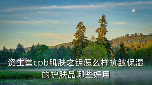 资生堂cpb肌肤之钥怎么样抗皱保湿的护肤品哪些好用