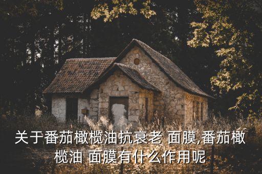 西红柿面膜是什么牌子,lesuleso面膜是什么牌子