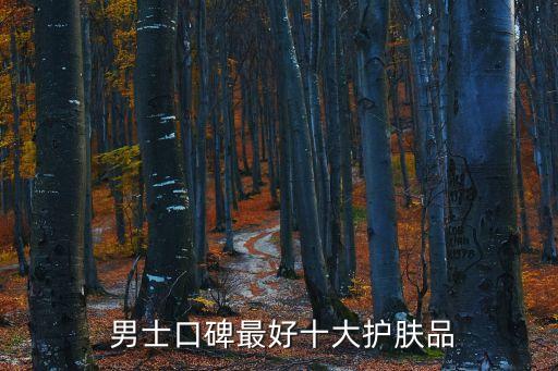  男士口碑最好十大护肤品