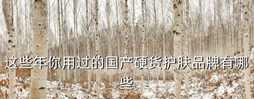 丹姿在品牌里排名多少