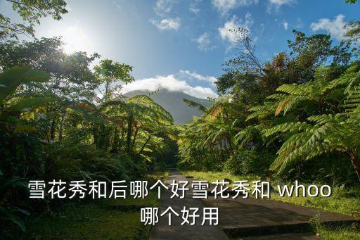 雪花秀和后哪个好雪花秀和 whoo哪个好用