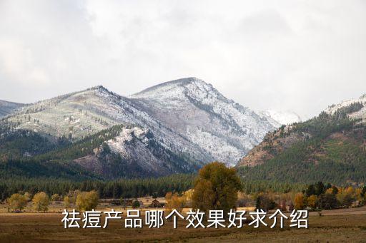  祛痘产品哪个效果好求介绍